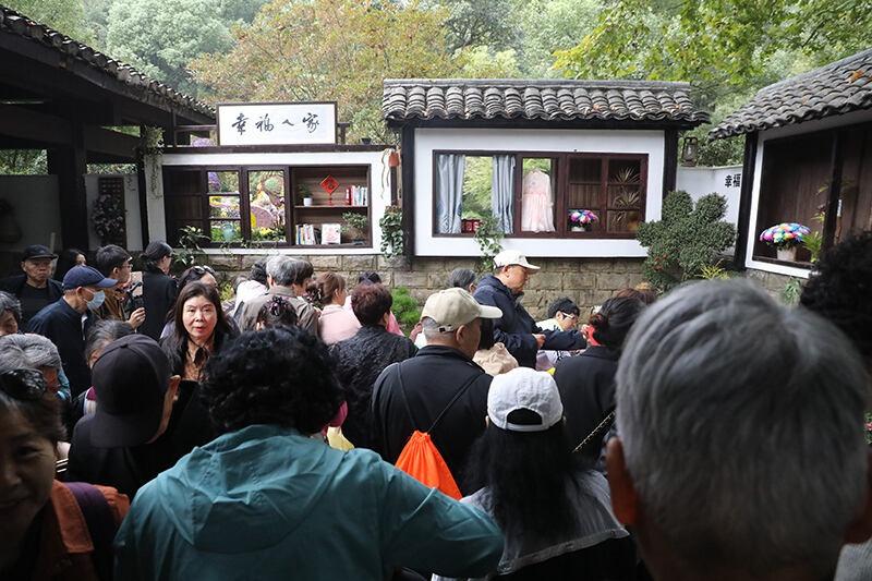 第四届长三角菊花精品展震撼开幕，万人空巷，你还不来？  第8张