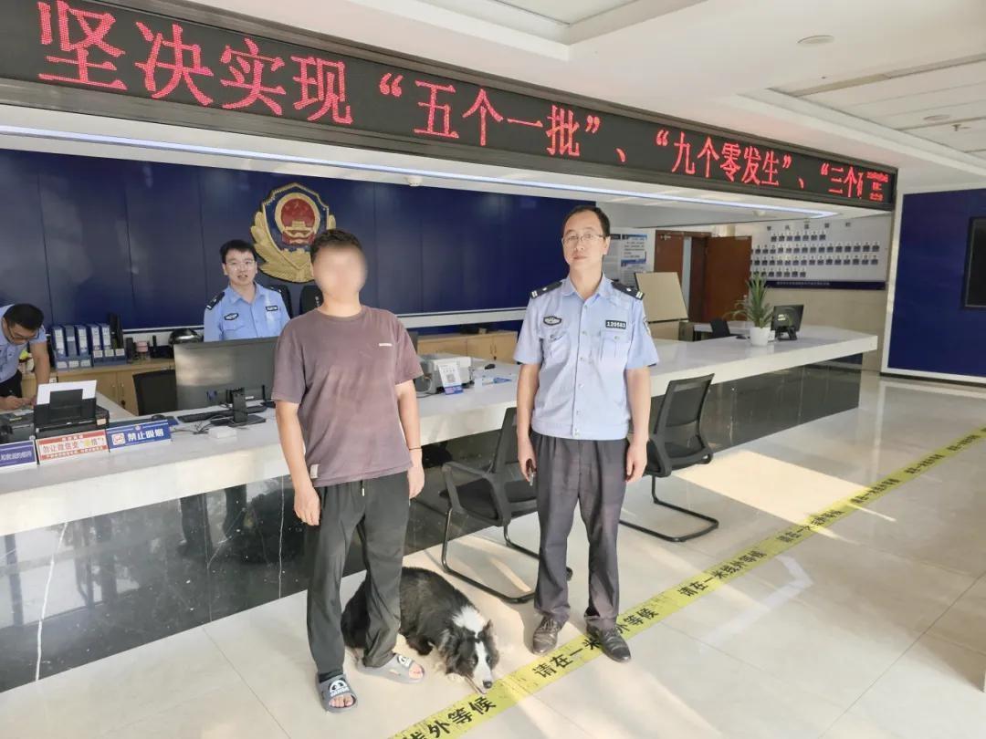 狗狗走丢竟自己走进派出所报警，背后原因令人暖心  第2张