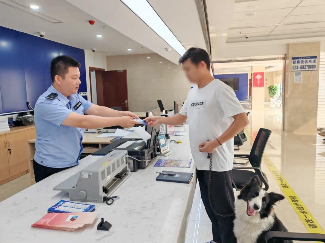狗狗走丢竟自己走进派出所报警，背后原因令人暖心  第3张