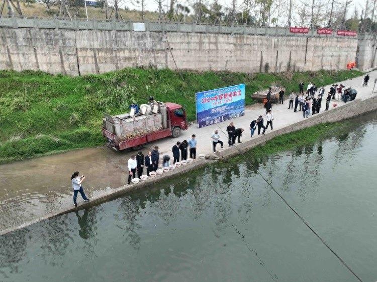 约 37 万尾鱼苗放流长江！见证长江上游航道整治工程的生态奇迹  第1张