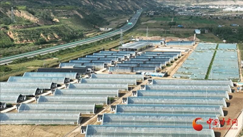 投资 8300 万！静宁县这个镇要打造 2560 亩蔬菜基地，你还不来看看？  第1张
