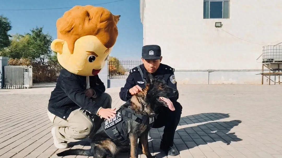 警犬雷神：英勇忠诚的无言战友，屡立奇功的功勋犬