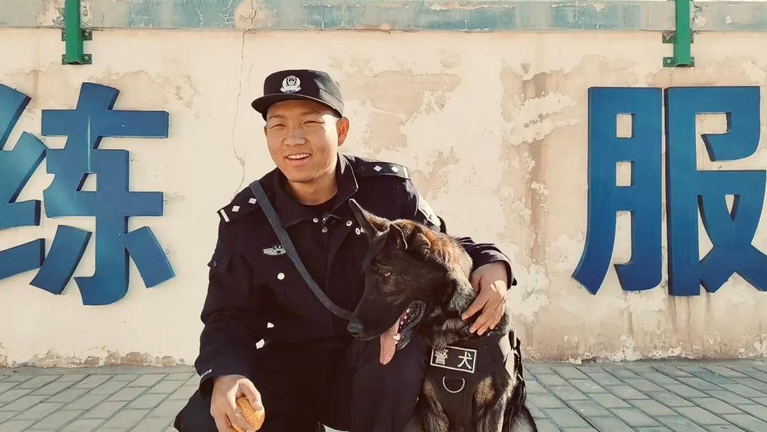 警犬雷神：英勇忠诚的无言战友，屡立奇功的功勋犬  第3张