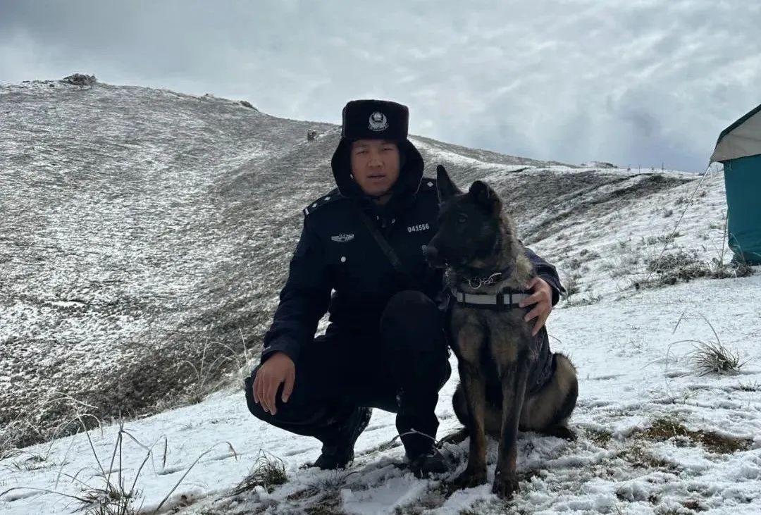 警犬雷神：英勇忠诚的无言战友，屡立奇功的功勋犬  第4张