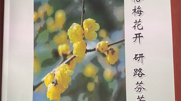 历时两年，这所小学的课题研究取得重大突破  第2张