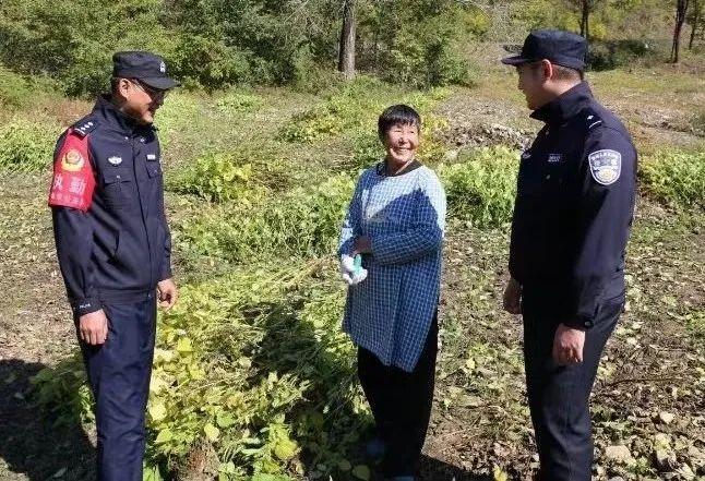 硬核守护！桦甸市公安局开启秋收警务模式，全力护航秋收安全生产  第3张