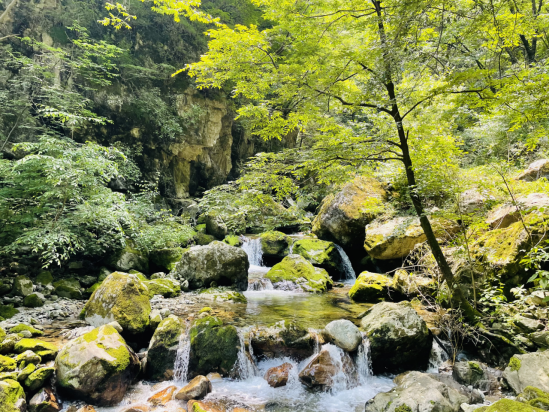 10 月 30 日，田峪河国家湿地公园媒体行活动盛大举办  第4张