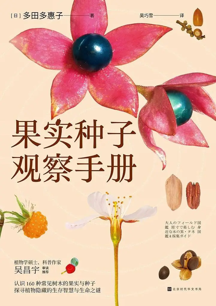 科学的优雅：从毕达哥拉斯定理到 DNA 结构，8 个简约之美震撼来袭  第7张