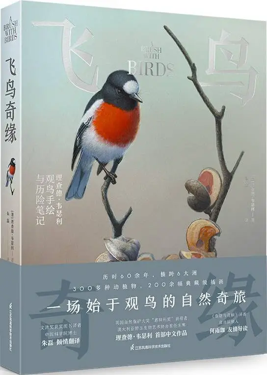 科学的优雅：从毕达哥拉斯定理到 DNA 结构，8 个简约之美震撼来袭  第9张