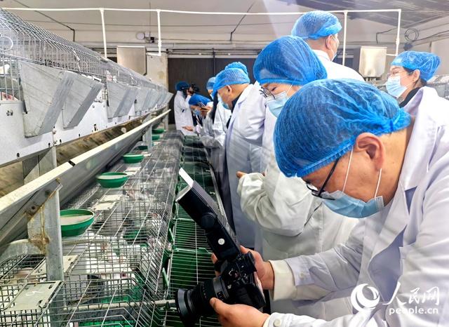 食品安全如何保障？河南启动调研采访活动，深入了解全流程智慧化管理模式  第3张