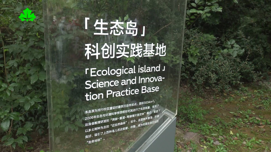 探索生态奇迹！揭秘垃圾如何新生，这群少年告诉你答案  第1张