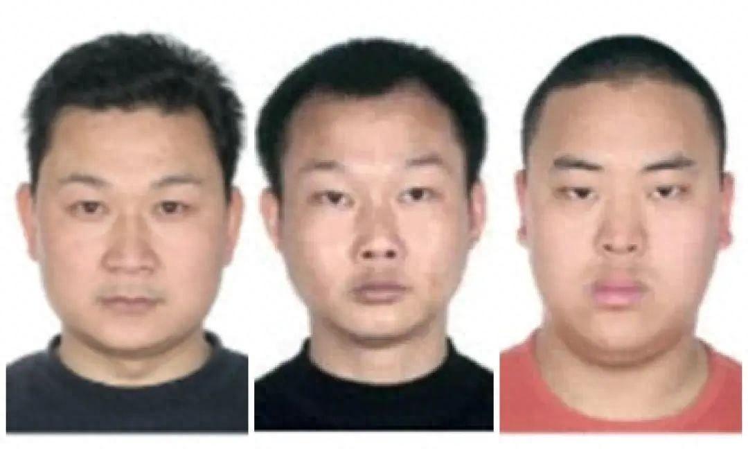 四川德阳一犯罪团伙被打掉，长期从事多项违法犯罪活动  第1张