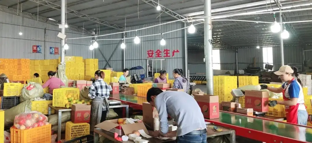 11.11 将至，80 后电商老板如何借助拼多多新政抢占偏远地区市场？  第2张