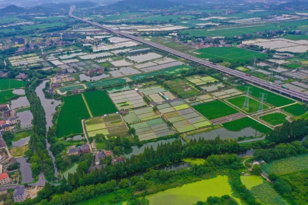 浙江 27 个全域土地综合整治工程入选省级精品工程，获 1.2 亿奖励  第1张