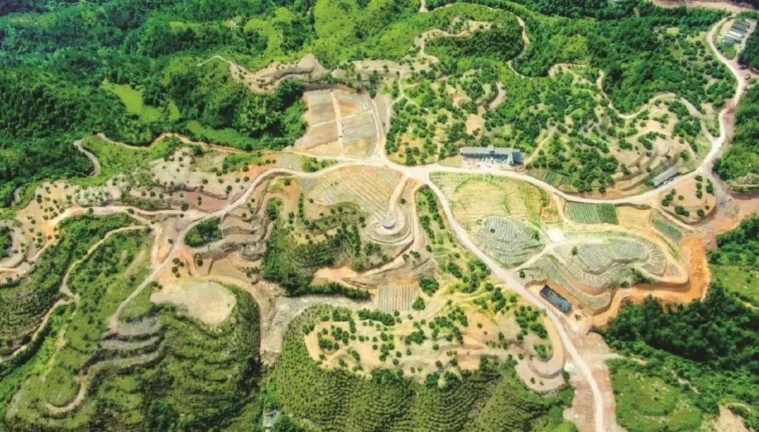 浙江 27 个全域土地综合整治工程入选省级精品工程，获 1.2 亿奖励  第2张