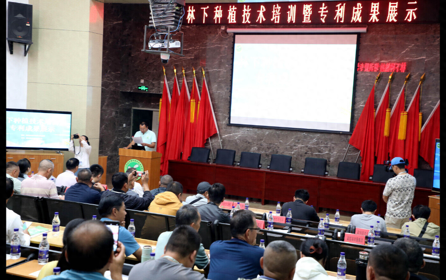 西双版纳林下种植培训：开启可持续发展新时代