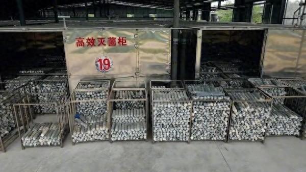 松阳这个基地的接种工作，两小时竟能完成这么多  第1张
