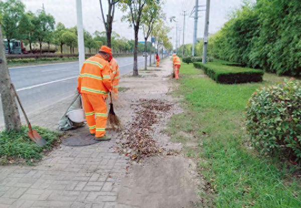 初冬落叶清扫攻坚战，广德市城管局全力打造干净整洁城市环境