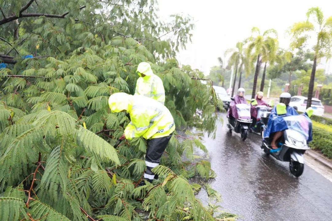 台风潭美来袭！儋州公安交警如何确保道路安全通畅？  第1张