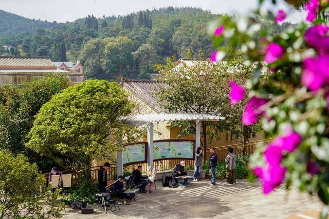 云南土瓜冲村：昔日空心村变身旅居村，激活乡村振兴新引擎  第5张