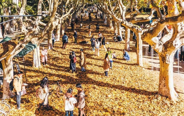 西安冬日暖阳下的美景如画，12月2-3日将迎来弱雨雪天气，你准备好了吗？  第2张