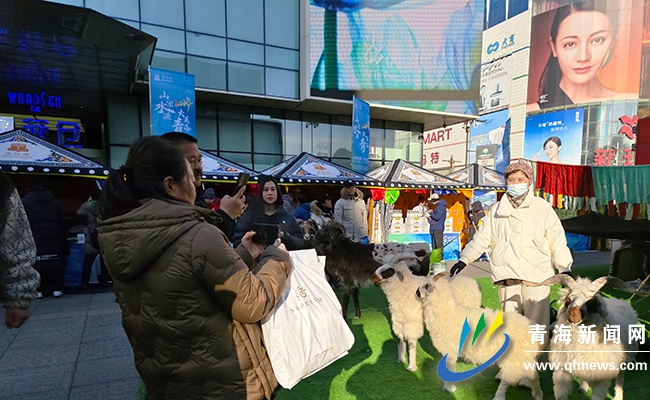 2.56亿大单！青海同仁在沈阳掀起文旅农牧合作热潮，200多种特色产品惊艳亮相  第2张