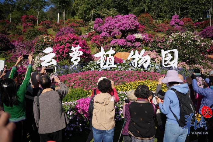 广东气温骤降，最低3.5℃！未来三天回暖，流感风险仍高，12月冷空气五连击  第6张