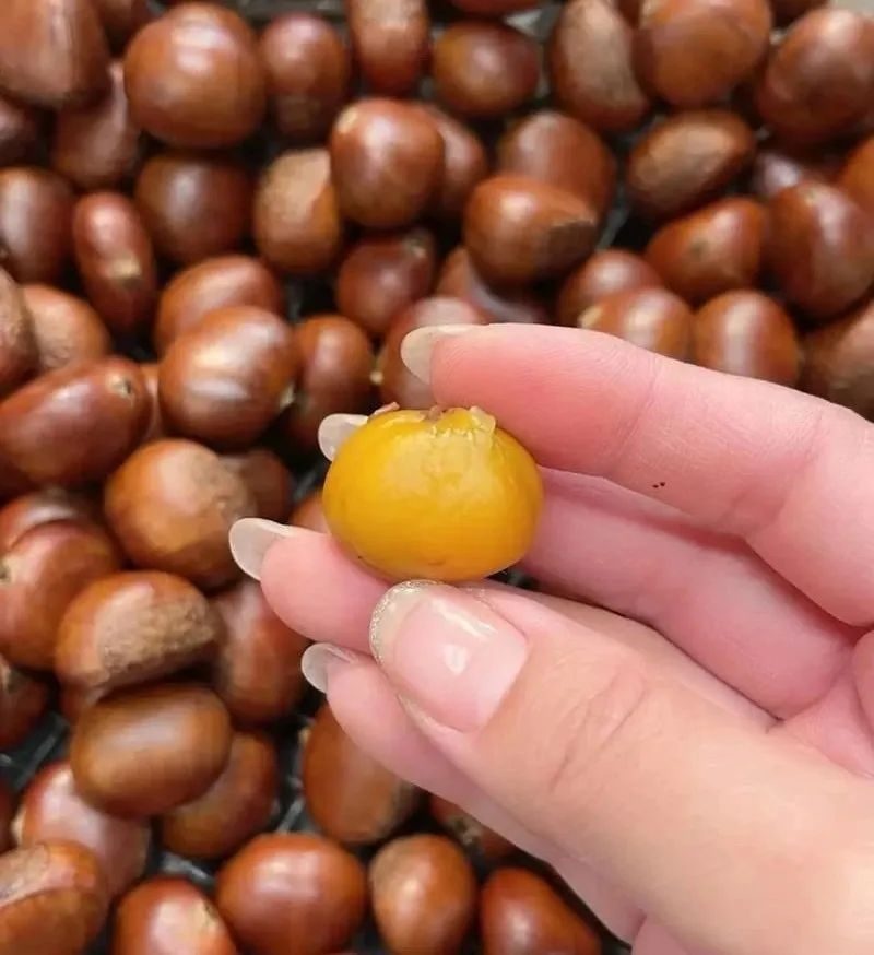 秋冬必备！如何挑选高品质糖炒板栗？市场监督管理局教你三招，买到香甜软糯的板栗  第2张