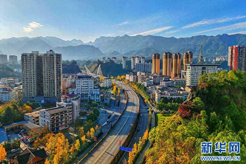 初冬恩施：金黄银杏与城市建筑的诗意邂逅，每一帧都是生态画卷