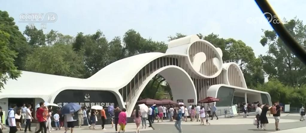 免签政策红利持续释放，外国旅客入境中国更便捷，上海口岸入境外国人数量激增  第4张