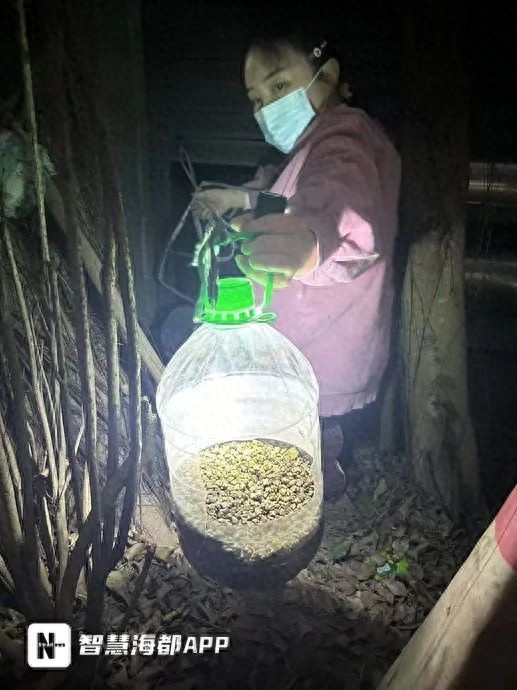2年爱心接力！南平小姐姐20公里往返投喂，终救出通风井内小猫