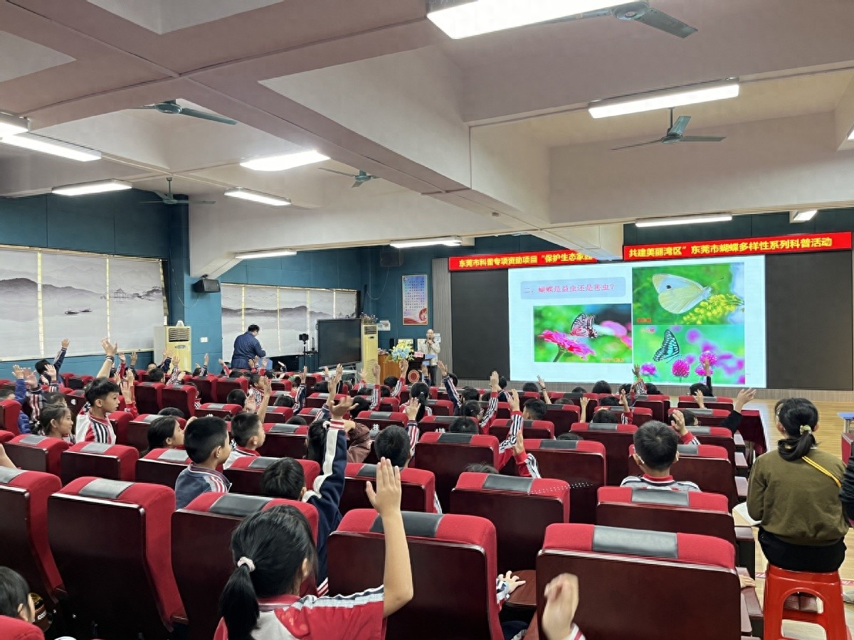 揭秘蝴蝶世界的奇妙之旅：1200名学生共同探索生态多样性  第1张