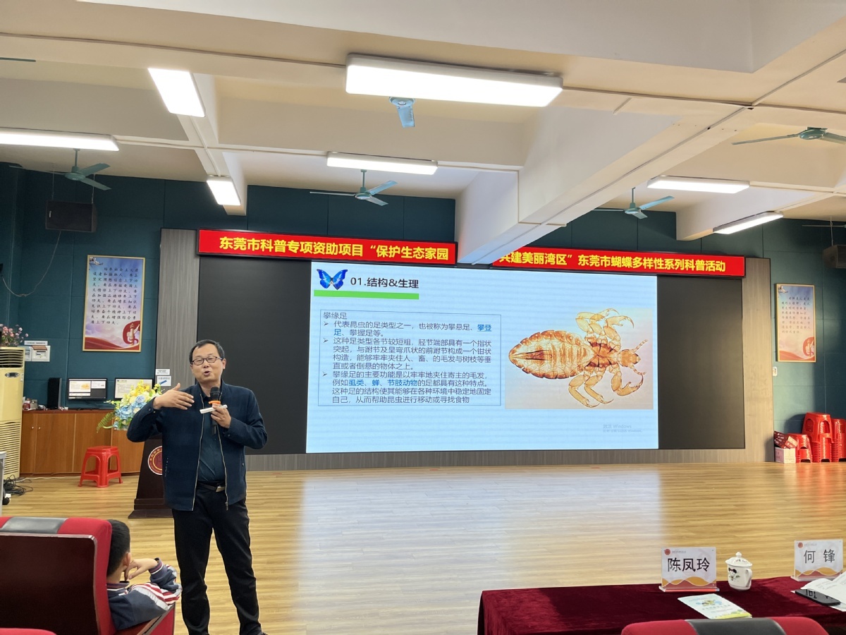 揭秘蝴蝶世界的奇妙之旅：1200名学生共同探索生态多样性  第2张