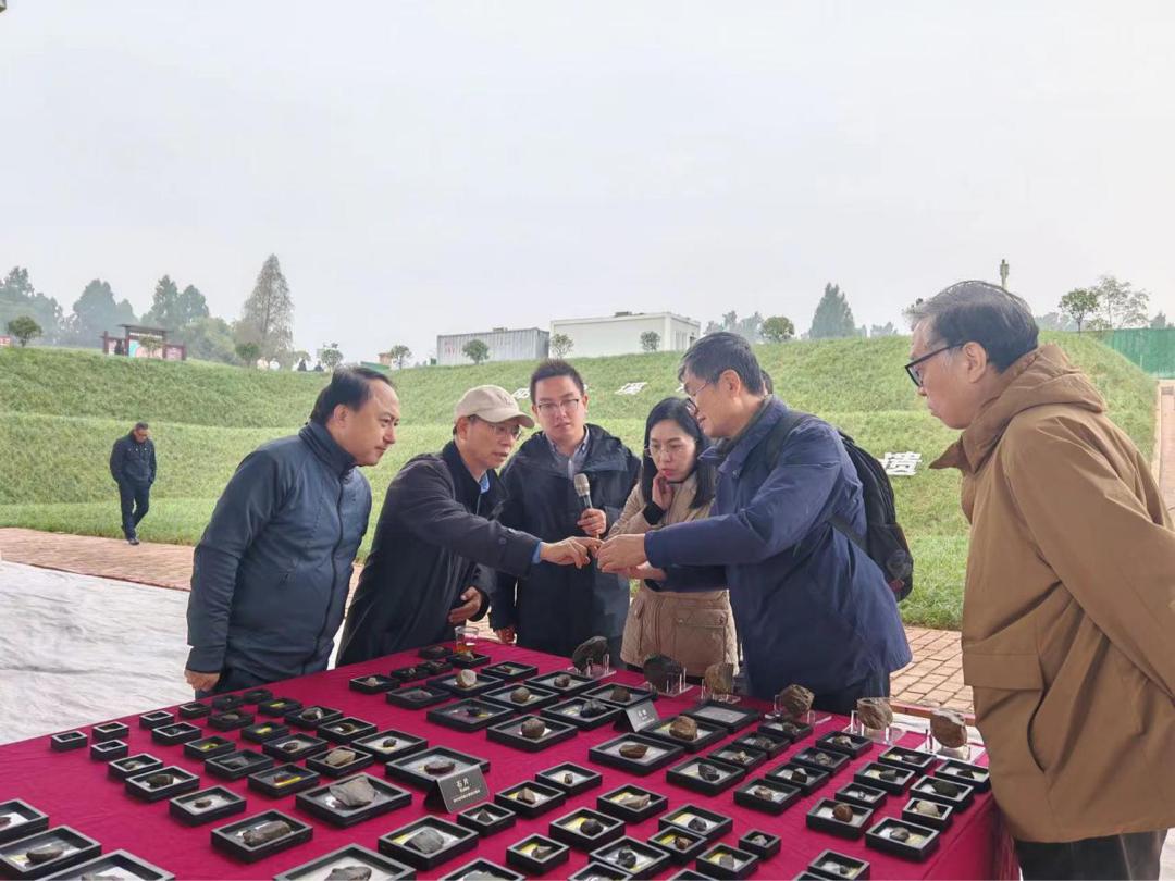 濛溪河遗址最新考古成果揭秘：专家齐聚资阳，共商遗址未来发展大计  第2张