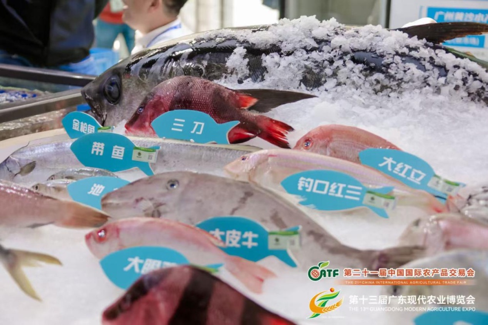 珠江之畔万商云集，广东现代农业博览会揭秘农业新质生产力  第4张