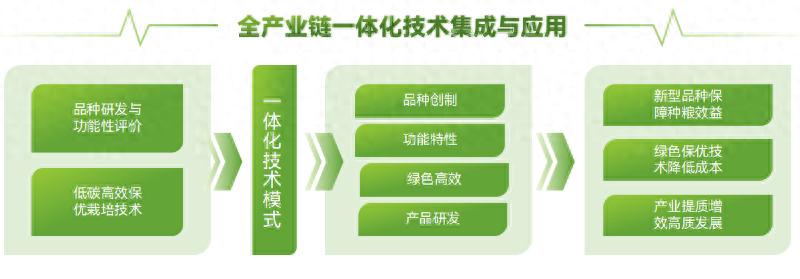 2024湖北乡村振兴大赛揭秘：优食味功能稻技术如何实现每亩增收千元？  第1张