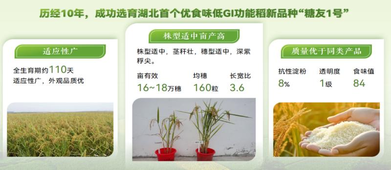 2024湖北乡村振兴大赛揭秘：优食味功能稻技术如何实现每亩增收千元？  第2张