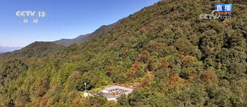 揭秘高黎贡山：鸟类垂直迁徙的神秘之旅，你绝对不能错过的自然奇观