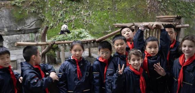 重庆小学生与大熊猫结对，携手国际友人共推熊猫保护，你还在等什么？  第1张