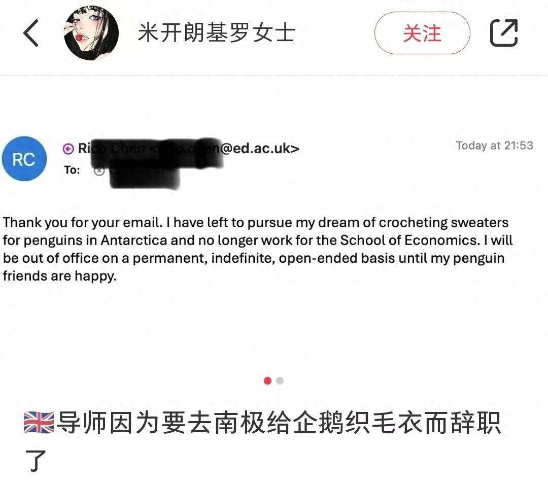 导师辞职去南极给企鹅织毛衣，梦想与现实的反差让人深思  第1张