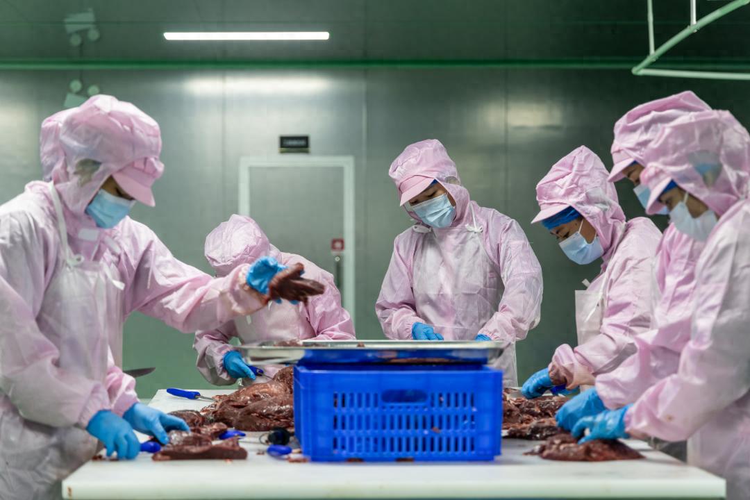 海南牛肉制品免关税通关，15家企业享惠，健康食品产业注入新活力  第1张