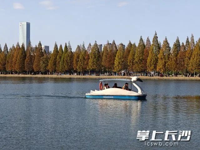 长沙气温飙升至20℃，市民纷纷出门享受暖阳，你还在等什么？  第2张
