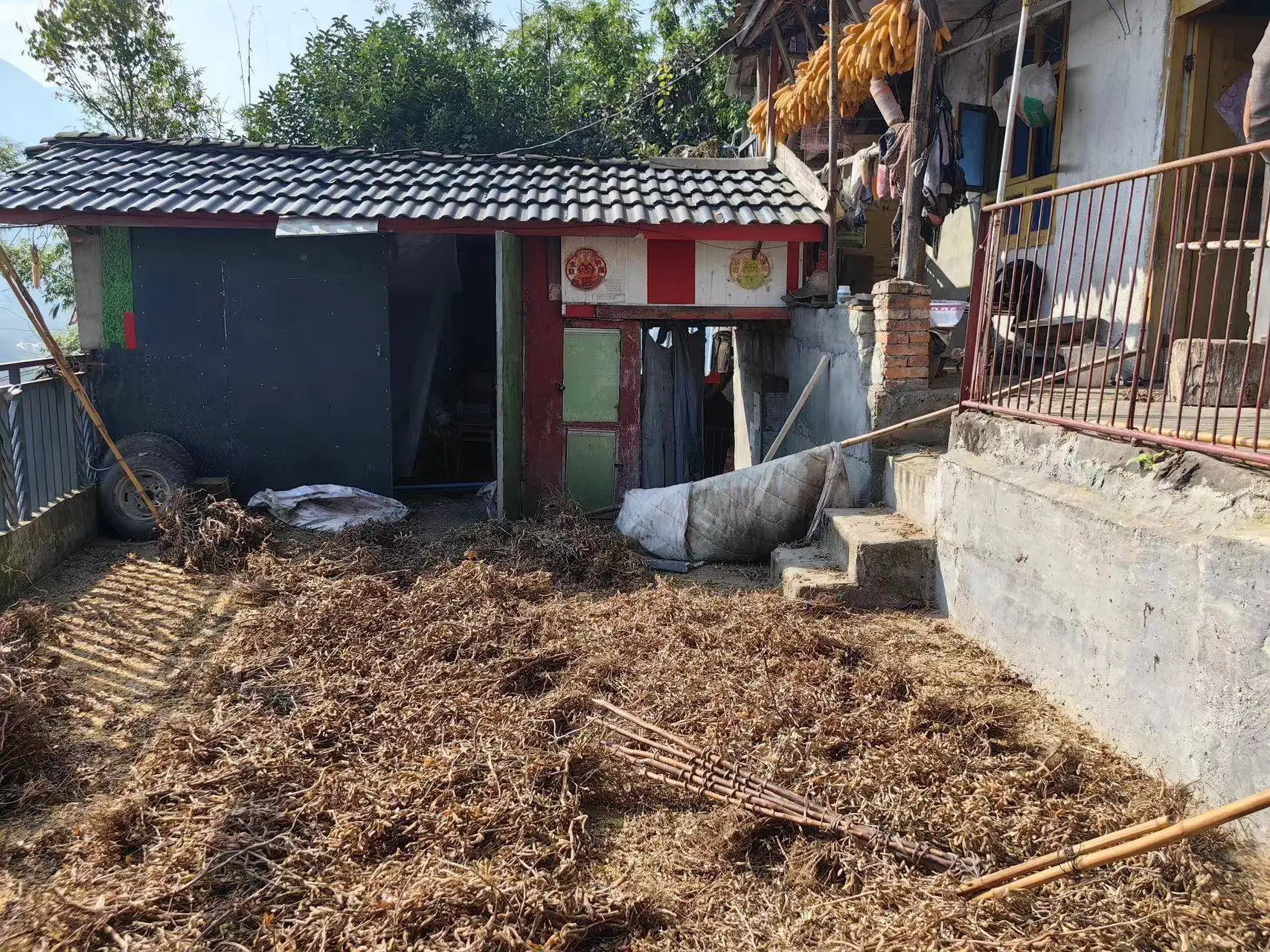 黑熊深夜闯入，木匠老汉斧头救妻，生死瞬间的惊魂一刻