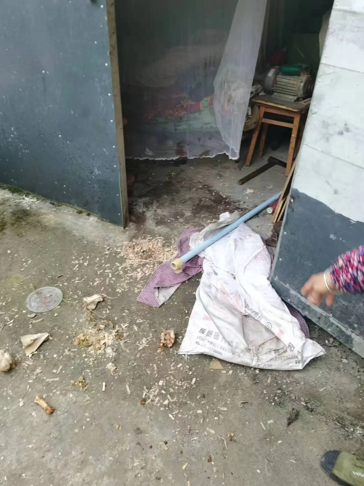 黑熊深夜闯入，木匠老汉斧头救妻，生死瞬间的惊魂一刻  第2张