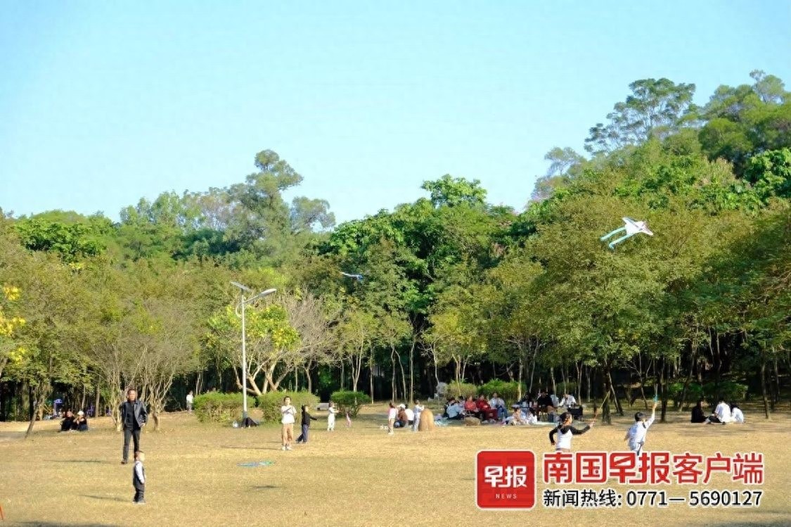 12月广西将迎寒潮霜冻，降水量创历史新低，你准备好了吗？