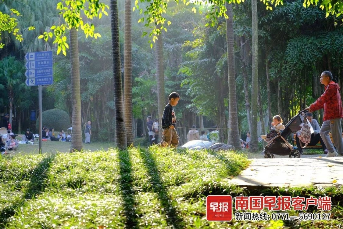 12月广西将迎寒潮霜冻，降水量创历史新低，你准备好了吗？  第2张