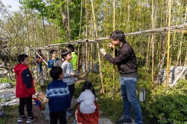 上海世博文化公园蘑力乐园：亲子游必打卡的蘑菇主题儿童乐园，快来体验  第18张