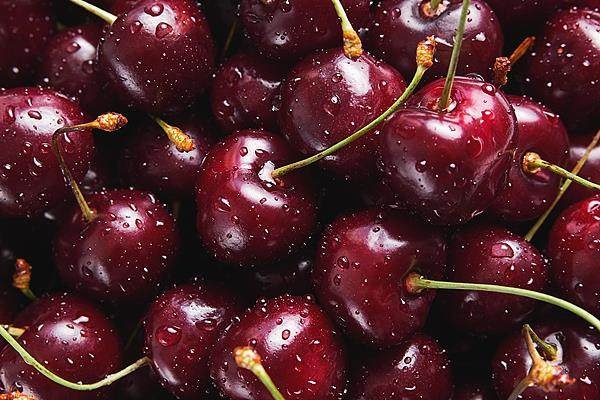 29岁邯郸小伙用一条腿征服5200米雪山，他的下一个目标是珠峰  第5张