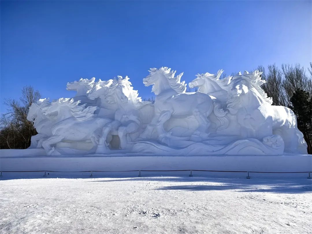 震撼!32米巨型雪雕八骏踏雪亮相太阳岛,八匹骏马踏破雪浪的磅礴气势令人惊叹 第4张 震撼!32米巨型雪雕八骏踏雪亮相太阳岛,八匹骏马踏破雪浪的磅礴气势令人惊叹 第4张