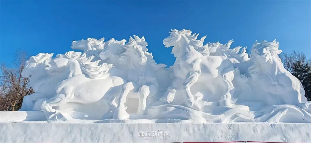 震撼!32米巨型雪雕八骏踏雪亮相太阳岛,八匹骏马踏破雪浪的磅礴气势令人惊叹 第6张 震撼!32米巨型雪雕八骏踏雪亮相太阳岛,八匹骏马踏破雪浪的磅礴气势令人惊叹 第6张